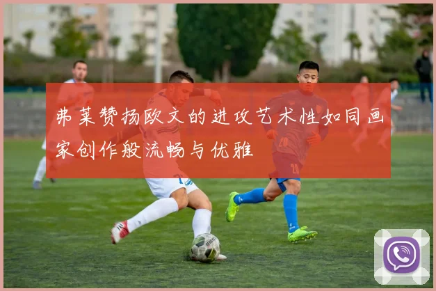 弗莱赞扬欧文的进攻艺术性如同画家创作般流畅与优雅