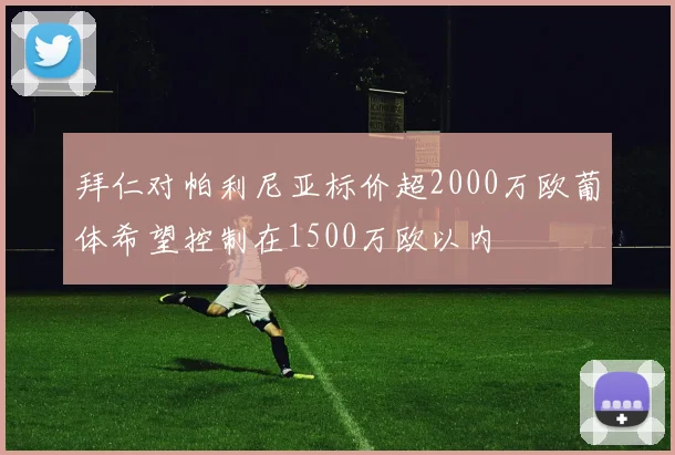 拜仁对帕利尼亚标价超2000万欧葡体希望控制在1500万欧以内